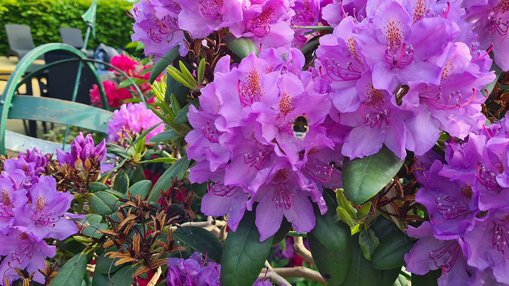 2021-06-06 08.29.37.jpg